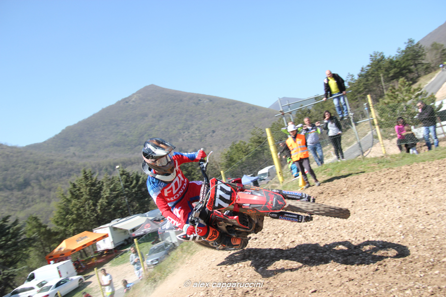 Algati-Agonisti-MX2
