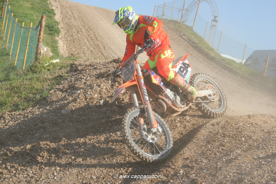 Amadio-MX1-194