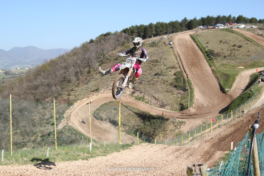 Bilo-Hobby-MX1