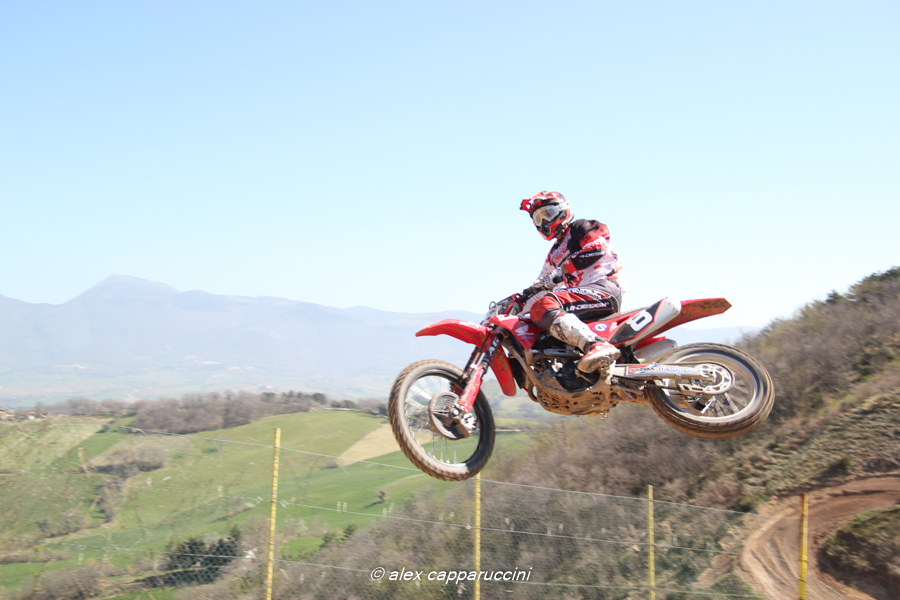 Procaccini-Esperti-MX2-Esa