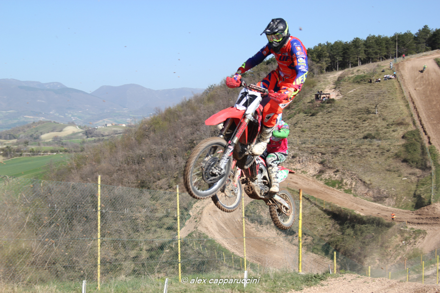 Qualatrucci-Ama-MX1