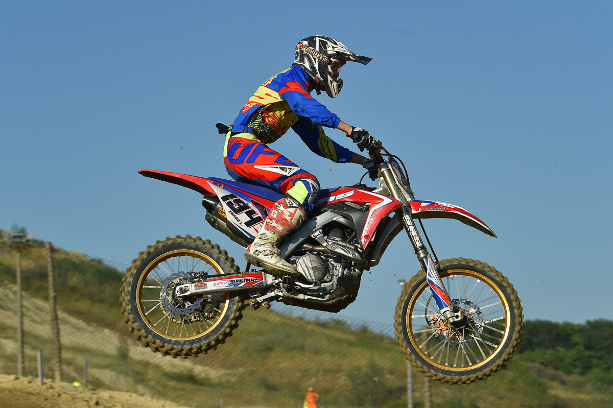 Amadio-AGOMX1