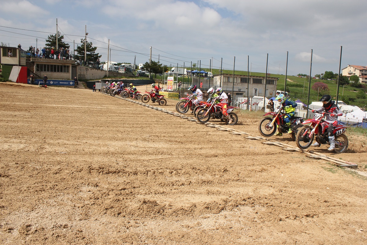 start-Agonisti