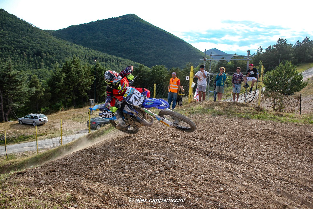 Federici-2t
