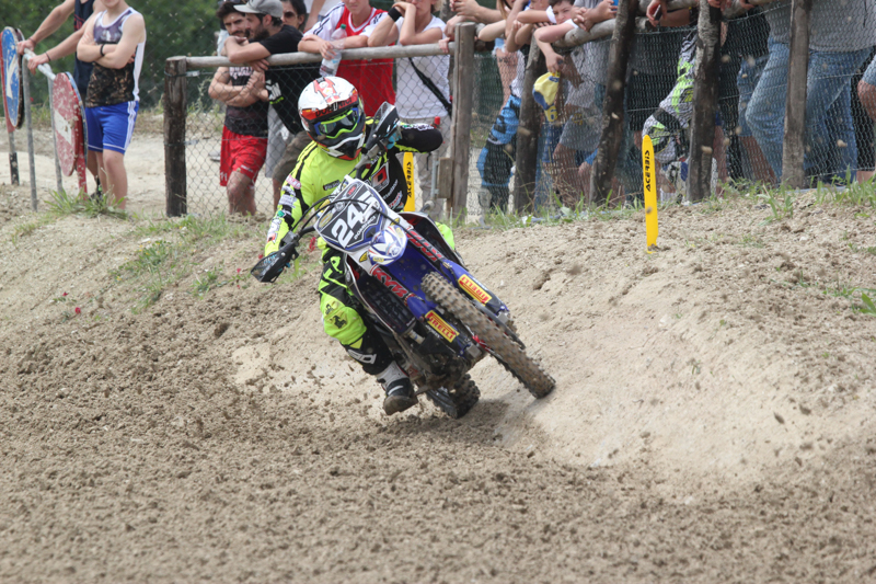 Dominici-ExpMX2