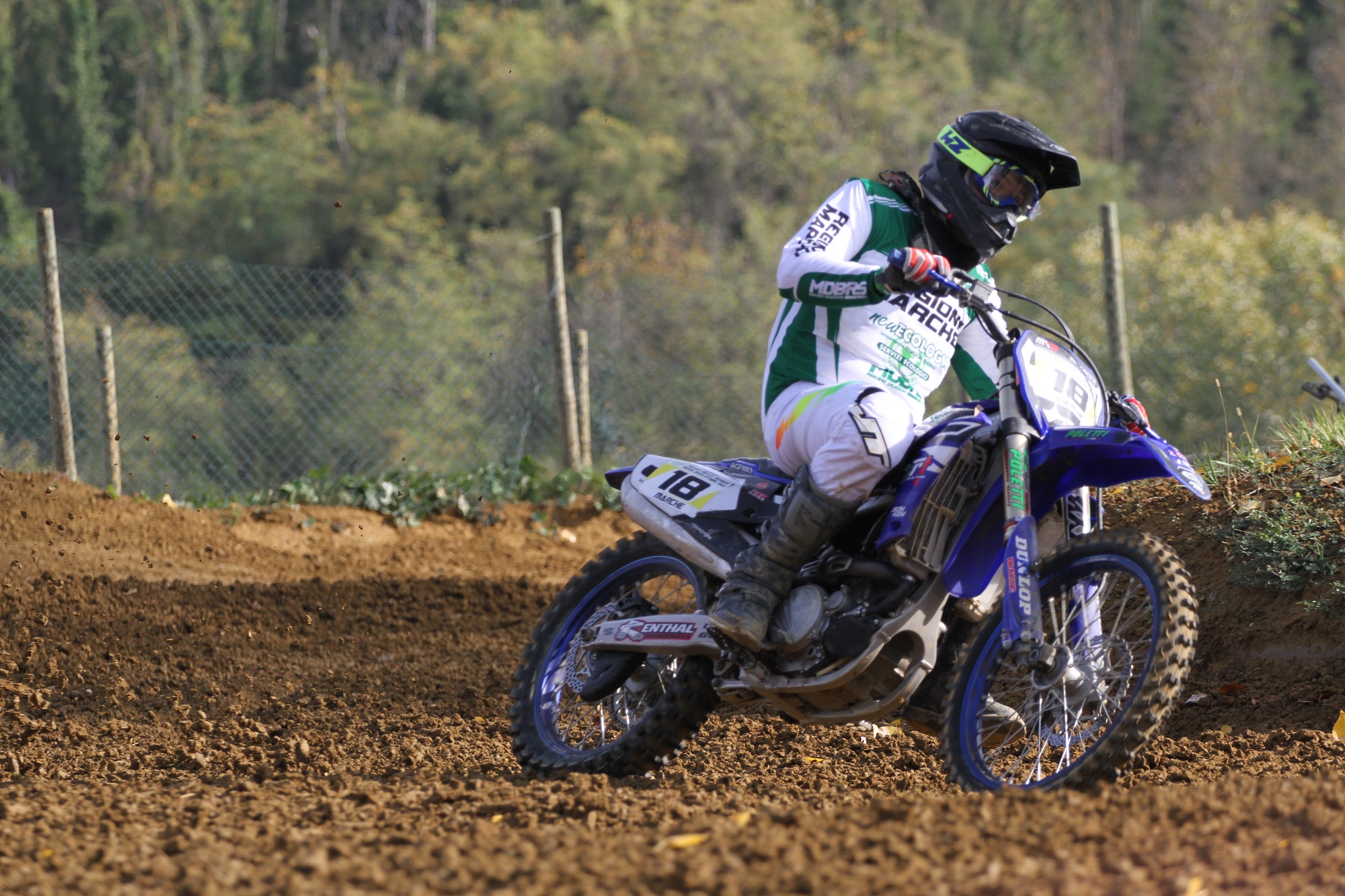 Braschi-Faenza-231022